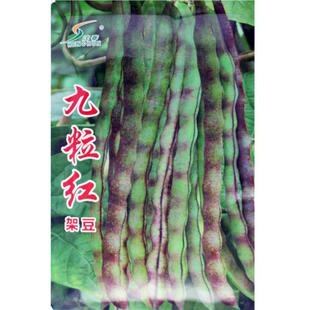 �ܶ��N��ܿ���N���ļ����N�Ӷ��ǷN�Ӷ������߲˷N�Ӳ˷N����