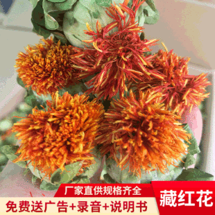 �����ؔ�չ�N���t�����l�Ȳ��} ���|�ؼt���t�� �t���z��؛����