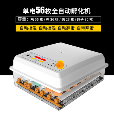 Incubadora de pollos al por mayor de comercio exterior, incubadora inteligente pequeña para el hogar, incubadora de huevos transfronteriza, incubadora de huevos inteligente
