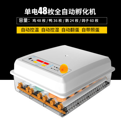 Incubadora de pollos al por mayor de comercio exterior, incubadora inteligente pequeña para el hogar, incubadora de huevos transfronteriza, incubadora de huevos inteligente