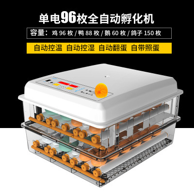 Incubadora de pollos al por mayor de comercio exterior, incubadora inteligente pequeña para el hogar, incubadora de huevos transfronteriza, incubadora de huevos inteligente