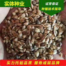 ���l���~�ɷN�ӈ@�ֻ�ɽ���֘�N�G����ľ���~���ѱ�����~�֘�N