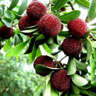 ���ع���������ľ��÷���÷���� ��СҎ���Rȫ