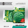 津科力丰 Lazy 8424 Watermelon Seed Early Kirin Gourd Fruit Seed Early Crash Anti -Crack Super Sweet Seed Seeds