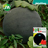 Seed -free watermelon seed black skin red pork round small gift melon seed seed water fruit seeds