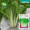 Four Seasons Cabbage Seeds quickly grow for 20 days, harvesting vegetable seeds, early -cliché vegetable seed seed seeds