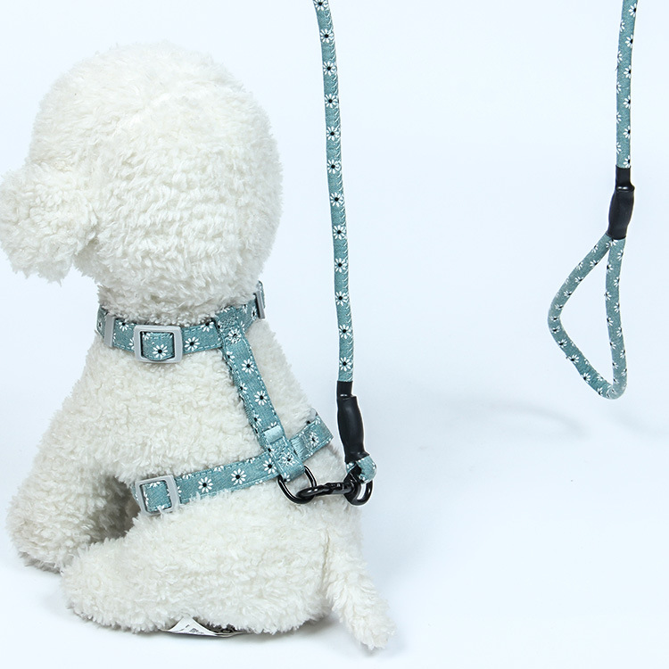 Cuerdas de tracción para mascotas, cinturón de pecho tipo I, cadena ajustable para gatos, cuerda de tracción para gatos, anti-desprendimiento, artículos para gatos japoneses para pasear