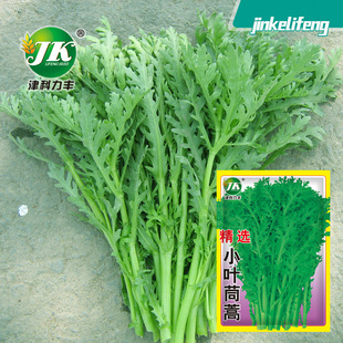 С�~����N�ӻʵ۲˷N�ѹ�U���Ӷ��ļ����̨����ͥԺ�߲˷N��