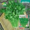 Coriander seeds fast -growing large leafy seed seeds are easy to plant vegetables and farm farm, farm, old balcony vegetable garden rapeseed species