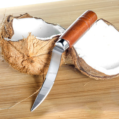 Carefully selected kitchen gadgets, stainless steel coconut opener, old coconut meat knife, coconut spatula, coconut knife