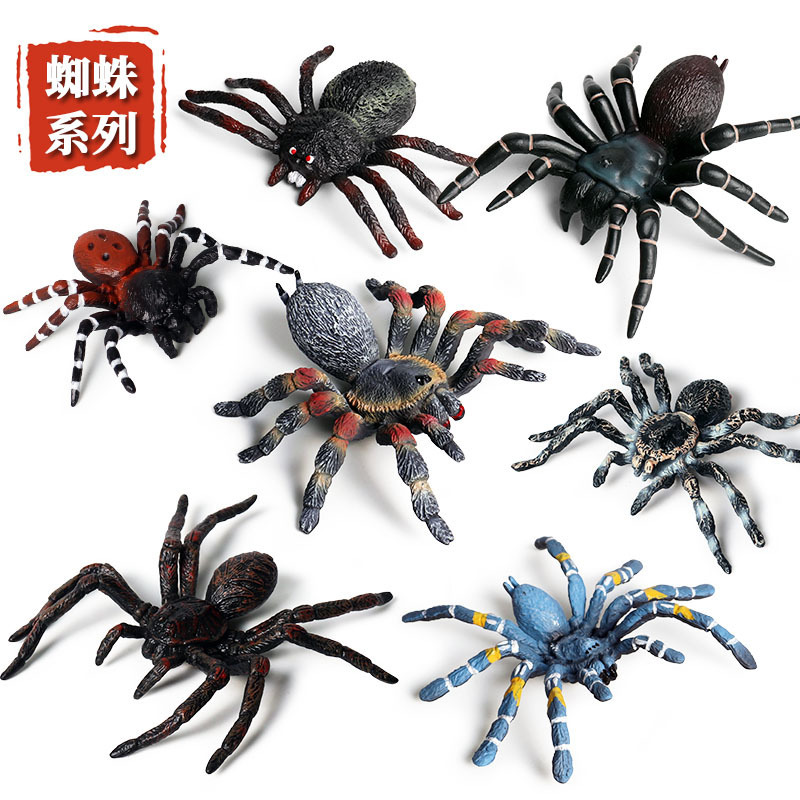Halloween trick toy simulation Spider poisonous spider insect animal model children's toy plastic ornaments gift Halloween trick toy simulation Spider poisonous spider insect animal model children's toy plastic ornaments gift