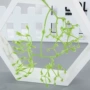 仿真婚庆植物塑料材料