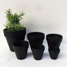 �R������ɫ�t�ջ�����⻨��ֲ�ﻨ��