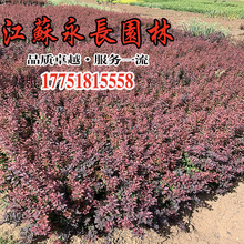 lt~С繤̾GľͥԺGhرֲҎRȫt~С