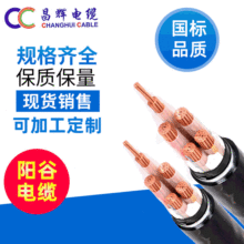 �S�ҹ��������|YJV22 4*95+1*50ƽ���~о��|��ȼ�z�bꖹ���|