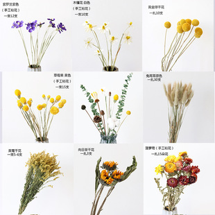 Dried flower bouquet diy material decoration eternal flower baby's hair Star cotton living room decoration plant real flower dried flower wholesale