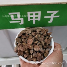 �R���ӷN�Ӈ��ڇ��@�h�ʘ�N�R�״��F�h�ʠ��B��վ�̸߳�ѿ��