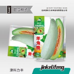 �߲˷N�ӹ��S�������l�������ϷN����Ǵ�����ϴ��ļ�ˮ���N��