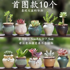多肉花盆植物陶瓷花盆器套裝栽透氣復古簡約拇指盆肉肉盆栽組合