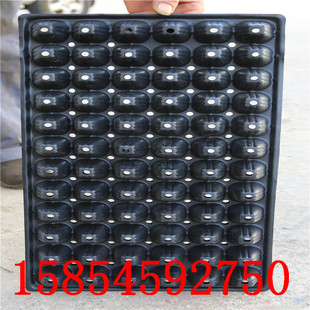 ��ʿ�߲�Ѩ�P�C ��������P�Ԅӻ��O�� PETƬ�����a�� ���T���b