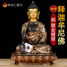 �𾉅R ���Ħ������Ჴ�����~��僽��y10�繩��[�����Ĳ��