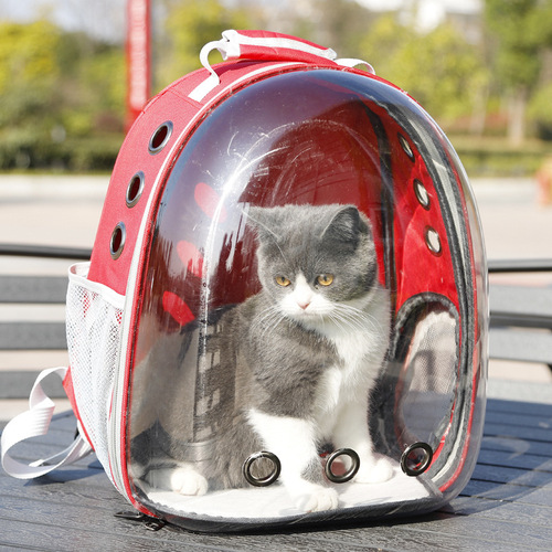 P manufacturer wholesale Havo internet celebrity panoramic transparent space cat bag cat and dog space bag backpack pet backpack