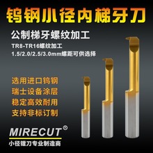 整体合金梯形牙螺纹刀公制30度钨钢T牙刀数控螺纹小孔车刀