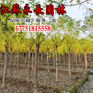 ����ֱ���S��ͥԺ�Nֲ�^�p�����h��ɫ�K�G�hҎ���Rȫ�S��