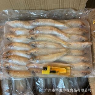 ���ɳ���~ ɳ���~ ����16��/�� �V�����l����С�Բ������rɳ���~