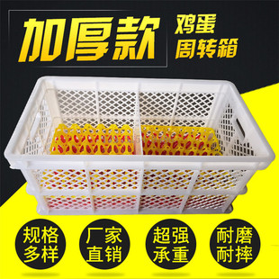 �N�����u����rˮ���߲˿��������D��ʳƷ�����ֱ�N�Ӻ�ȫ������