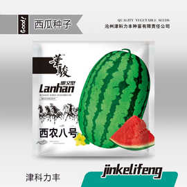 厂家批发西农八号西瓜种子懒汉大果蔬菜水果种籽超甜瓜果种孑籽种