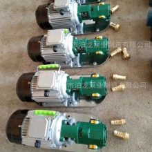 供应 WCB手提油泵 自吸式电动小型泵 手提泵型号 WCB型齿轮泵