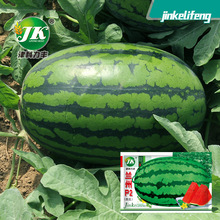 Դͷ������������P2�������ӻ�Ƥ��������Ϲ�ˮ�������߲�������