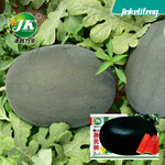 源头厂家批发懒汉黑元帅西瓜种子黑皮红水果种籽种孑瓜果蔬菜籽种