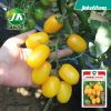 Factory direct selling yellow virgin fruit seeds, cherry small tomato seeds, balcony balcony, four seasons sowing fruit and vegetable seeds