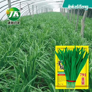 �A�E791�²˷N���r����Ʒ�N탲˷N�Ѱ׸����~�ļ����߲˷N���ѷN