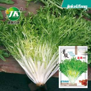 �A�E���Կ��ķN�ӿ�շN�����~���~�S���ļ��҃��̨�N���߲˷N��