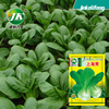 Factory wholesale Shanghai green rapeseed seeds, green stalks, chicken feathers and vegetables are easy to plant four seasons sowing vegetable seeds