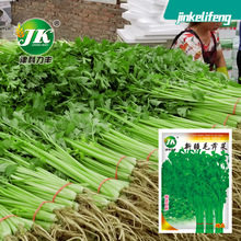 �½�ë�۲˷N������С���۴����w�S�����۲˷N���ļ��Nֲԭ�b����