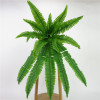 10 large simulation Persian grass small Persian leaf simulation flower fern leaf simulation plant wall with wedding decoration