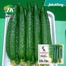 �S�����l�G�����S�ϷN����Ƥ�G��Gȿо���S�ϷN�Ѵ��ļ��Ϲ�����