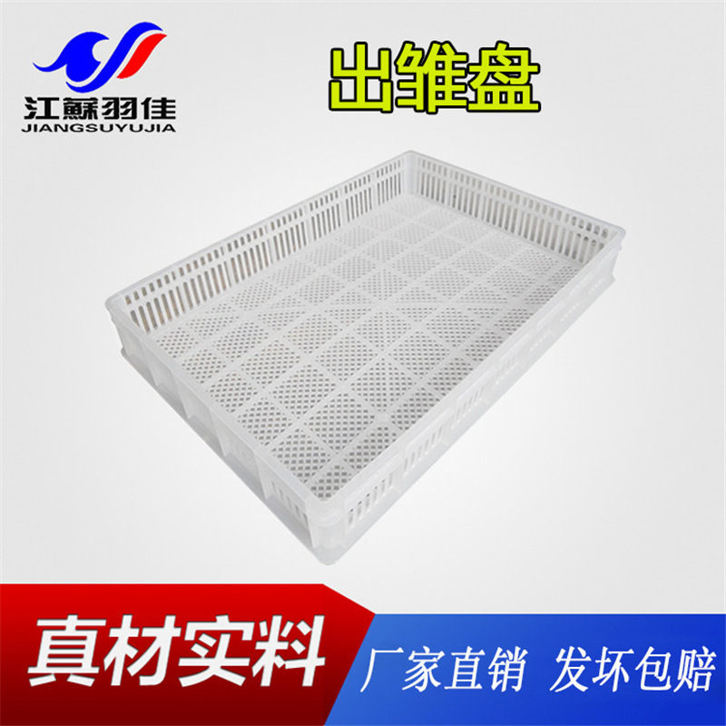 出雏盘苗鸡盘育雏筐雏鸡雏鸭雏鹅周转筐羽佳直销加厚全新熟料