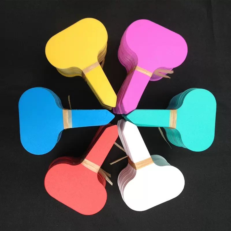 彩色多肉植物标签  T型花卉牌  园艺记号牌  防水