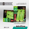 Celery Seeds Four Seasons Cyan Seed Celestial Crispy Fibrous Fiber Young Spring Vegetable Potted Potted Court -Potted Garden Rapeseed