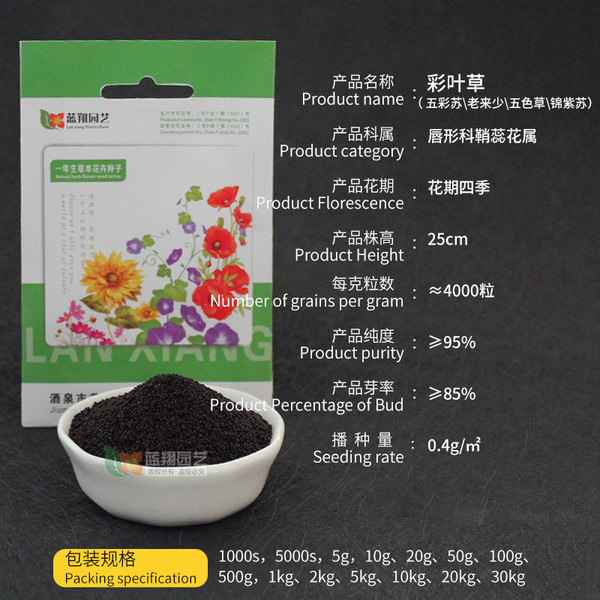 Wholesale color leaf seed engineering green balcony balcony potted…