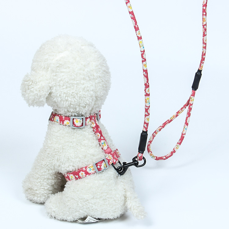 Cuerdas de tracción para mascotas, cinturón de pecho tipo I, cadena ajustable para gatos, cuerda de tracción para gatos, anti-desprendimiento, artículos para gatos japoneses para pasear