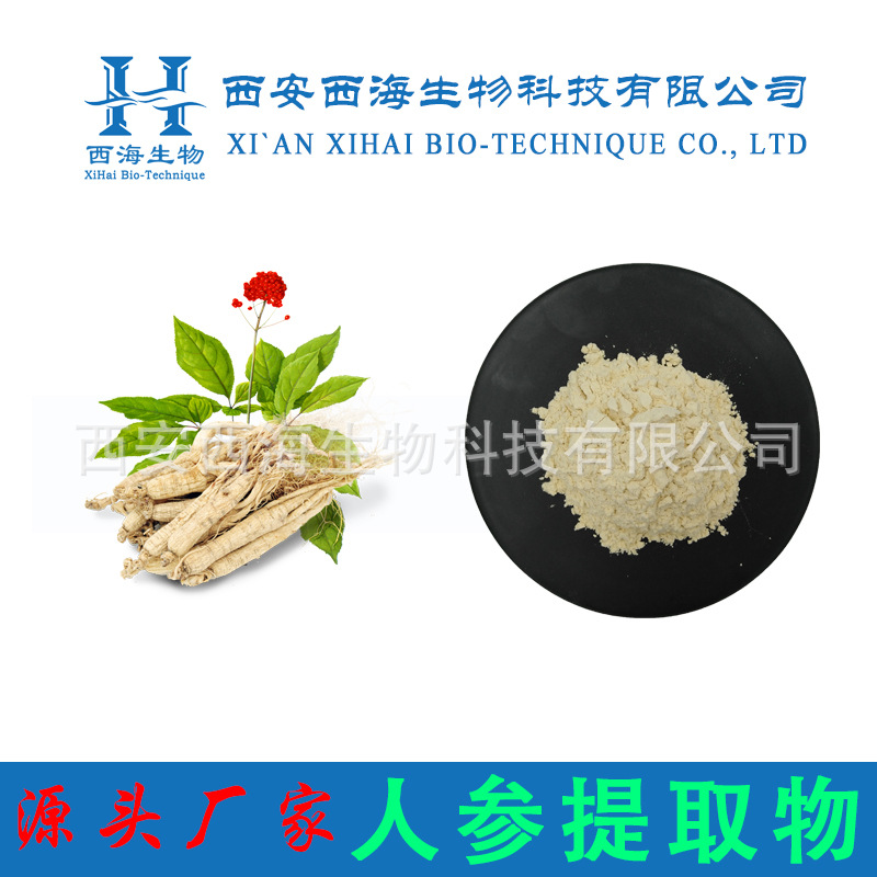 人参提取物20:1  人参根提取物 源头厂家 500克/袋 西海现货包邮
