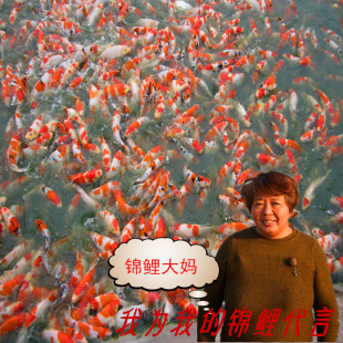 �\���󋌝O���Ԯa���N�\���~���\��ˮ�����N�\���~���\���Bֳָ��