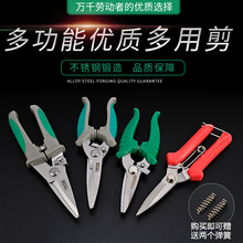 �ϰĶ๦��늹�������Ӽ���|�FƤ�����Ǽ����ۼ����ɵ�피�����