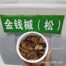 �a�����l���X�ʷN�� ���X��N�� ���X�ɷN�� ��ľ�N�� �lѿ�ʸ�